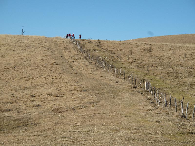 LESSINIA DIC 2011 (46).JPG